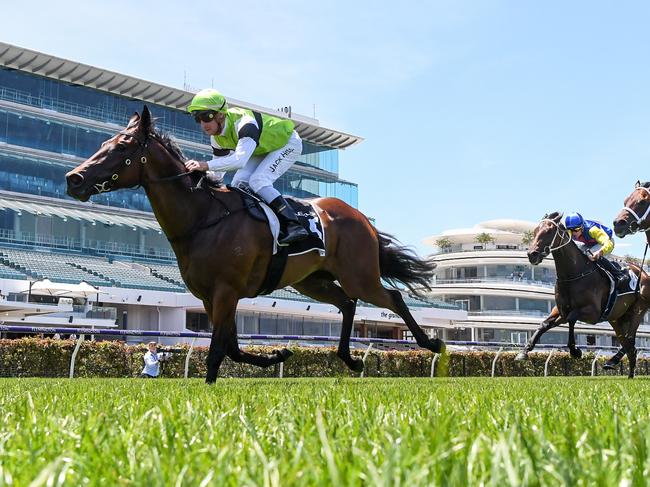 Beltoro ridden by Jack Hill wins the Lexus Legends Plate at Flemington Racecourse on December 12, 2020 in Flemington, Australia. (Natasha Morello/Racing Photos via Getty Images)