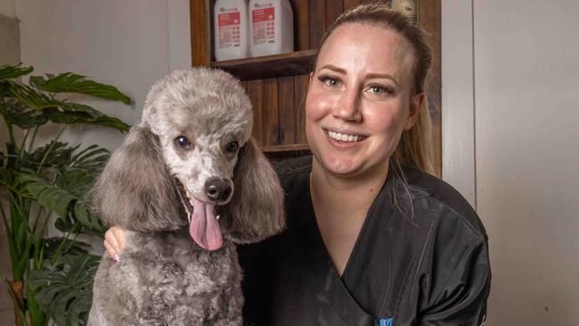 Best dog groomer of 2023 Mima Terzic, at her salon in Allenby Gardens. Pictured on November 11th 2023. Picture: Ben Clark