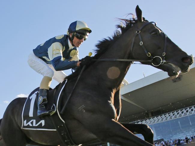 SYDNEY, AUSTRALIA - APRIL 03: Glen Boss on Sir Dragonet wins race 7 the Kia Tancred Stakes during Sydney Racing at Rosehill Gardens on April 03, 2021 in Sydney, Australia. (Photo by Mark Evans/Getty Images)