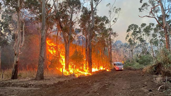 Firefighters from the Yahl CFS Brigade fighting the fire at Mount Gambier. Picture: Yahl CFS Brigade