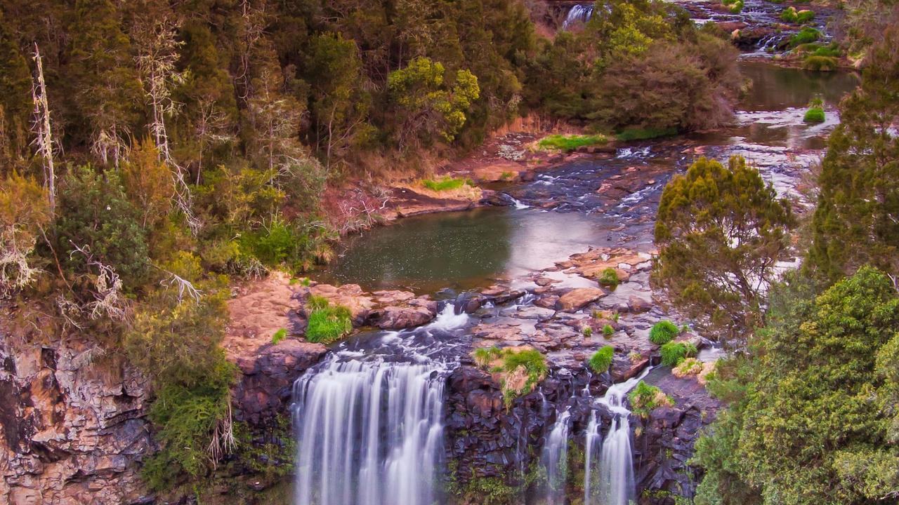 Dangar Falls, near the township of Dorrigo, NSW