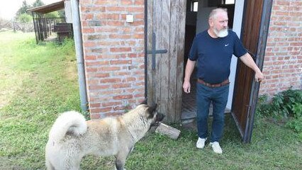 Damir Dokic at his property in the Serbian town of Vrdnik. Picture: Ella Pellegrini