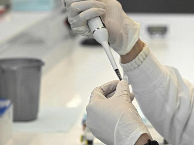 A scientist works at the mAbxience biosimilar monoclonal antibody laboratory plant in Garin, Buenos Aires province, on August 14, 2020, where an experimental coronavirus vaccine will be produced for Latin America. - Argentina will manufacture while Mexico will pack and distribute in Latin America, except of Brazil, the vaccine against COVID-19 developed by the University of Oxford and the AstraZeneca laboratory. (Photo by JUAN MABROMATA / AFP)