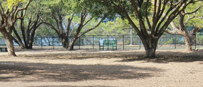 The state of New Farm dog off leash area has neighbours desperate for Council to take action to remedy the dust and noise from what they say is as an over used and poorly managed space.  