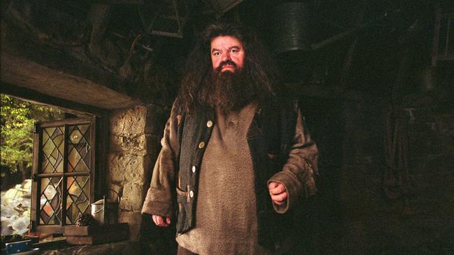 Robbie Coltrane as Hagrid in Harry Potter and the Prisoner of Azkaban.