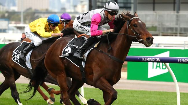 Surprise Baby won The Bart Cummings on Turnbull Stakes Day at Flemington Racecourse in October to win his way into the Melbourne Cup. Picture: Getty Images