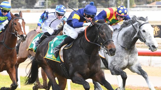 Munhamek wins the Swan Hill Cup earlier this month. Picture: Brett Holburt / Racing Photos