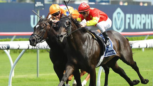 Artorius came from the clouds to beat Imperatriz in the Canterbury Stakes. Picture: Jeremy Ng-Getty Images