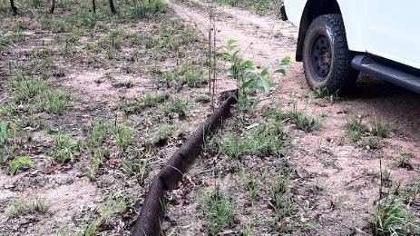 Poles from the old telegraph are still found along the same track that drawns in thousands of 4WD enthusiasts each year, but you won’t find any of them here