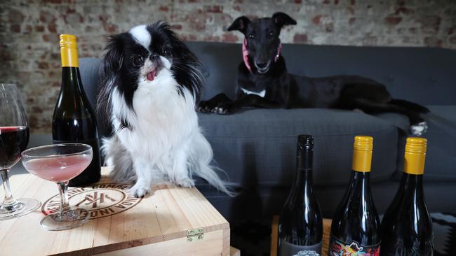 Keita and Shirley are ready to taste wines at Vinomofo’s Puppies and Pinot event. Picture: Rebecca Michael.