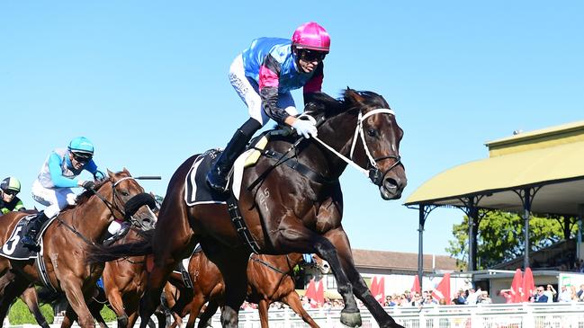 Rockhampton rocket Astapor is racing in Sydney on Saturday. Picture: Grant Peters/Trackside Photography