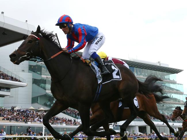 Michael Walker pilots Prince Of Arran to victory in the Lexus Stakes on Derby Day last year.