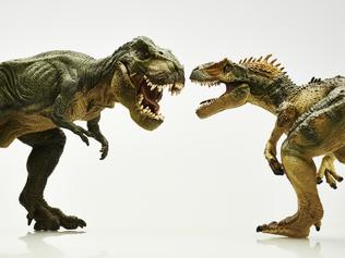 Generic dinosaur illustrations, tyrannosaurus rex.