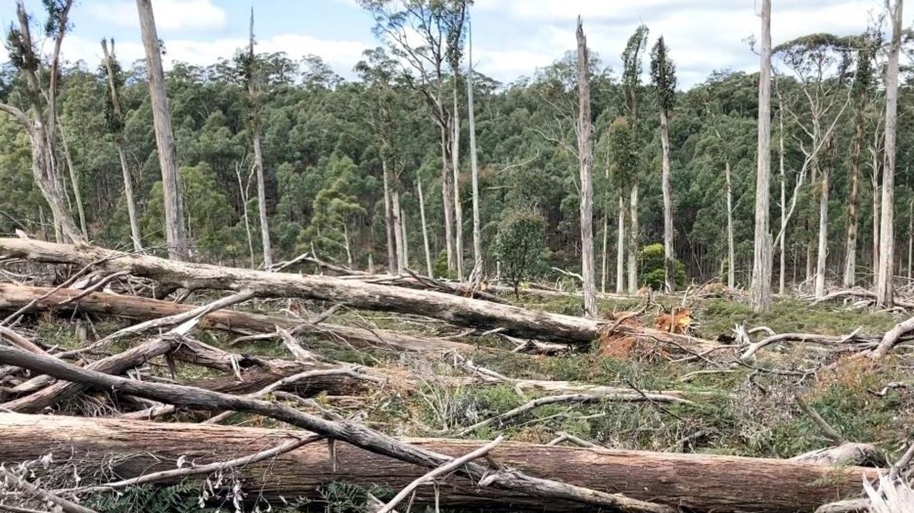 Parks Victoria gutted of staff and funding