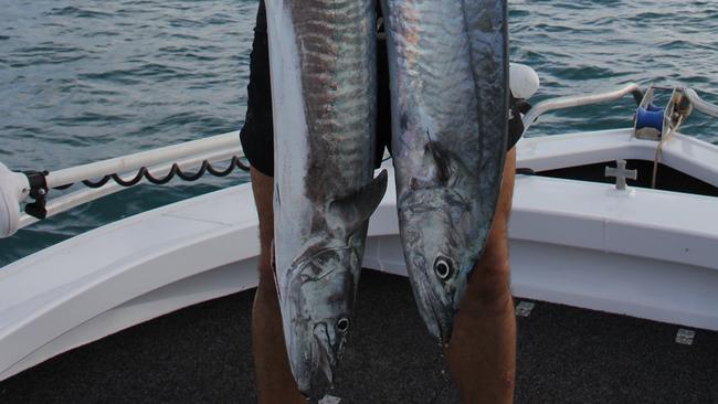 Simon with a couple of nice macks . PALMO SUN