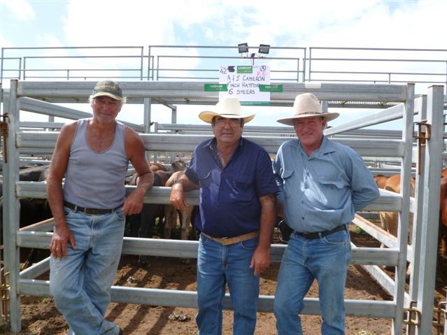 Tim Paton with David Deguara and Allan Cameron at Sarina cattle sale with a pen of Noremac steers. Picture: Frances Cameron