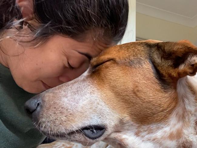 Kay Foster is heartbroken after the sudden death of her "pet soulmate" Kobi, the cattle dog cross, from suspected baiting. Picture: Foster family