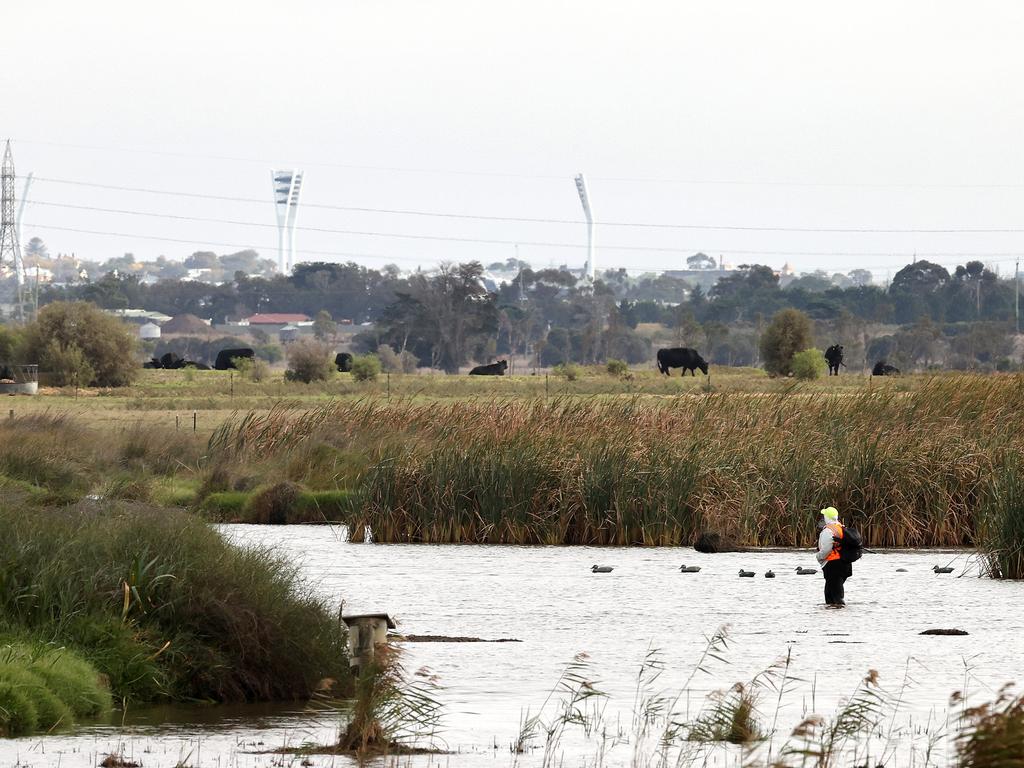 Geelong Duck Rescue volunteers near Lake Connewarre at the opening of duck hunting season last year. Picture: Alison Wynd