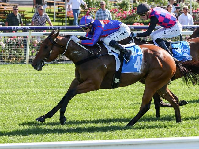 Hedged ridden by Jamie Kah wins the Cirka Plate at Flemington Racecourse on March 09, 2024 in Flemington, Australia. (Photo by George Sal/Racing Photos via Getty Images)