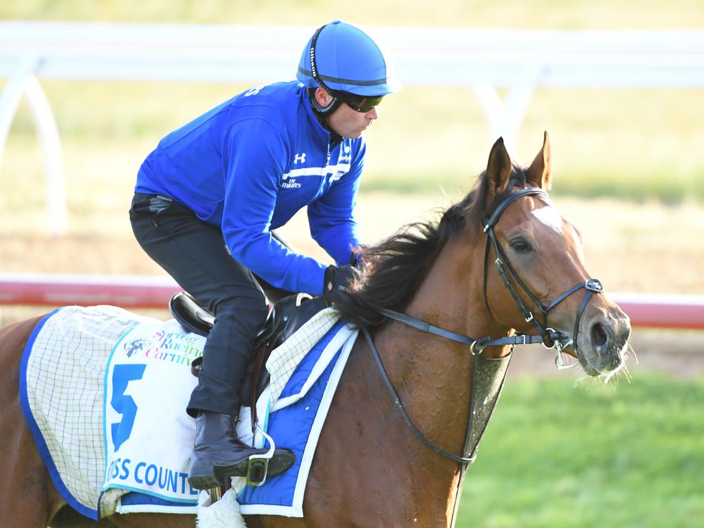 The Charlie Appleby-trained Cross Counter. (AAP Image/James Ross) NO ARCHIVING