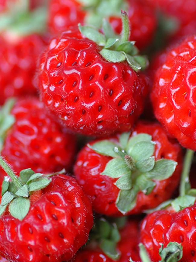 Uncoated strawberries release carbon dioxide, oxygen and water vapour in a process that eventually leads to spoilage. Picture: Malcolm Campbell