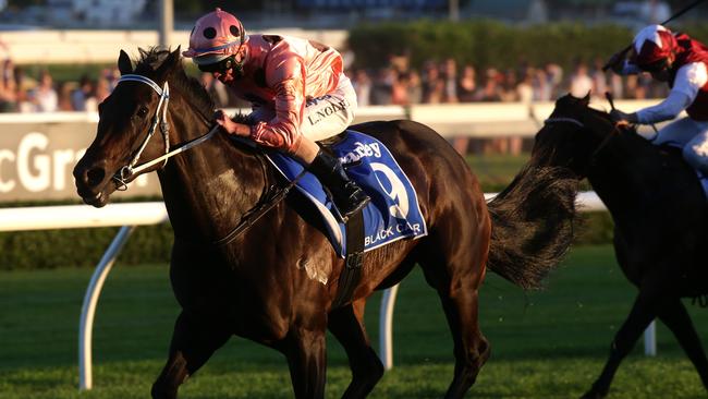 Black Caviar wins the TJ Smith Stakes with jockey Luke Nolen on board.