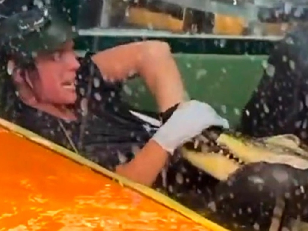 Lindsay Bull, 31, a handler, was filmed Saturday entering an enclosed tank to feed the huge alligator as young kids and their parents stood watching from inches away. Picture: Theresa Wiseman via Storyful