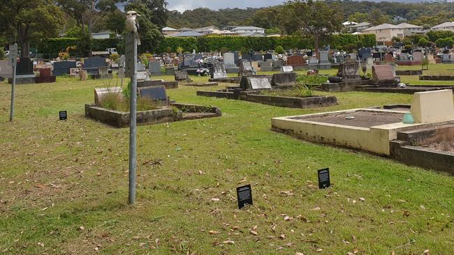 Interment rights revocation notices placed on gravesites at Mona Vale Cemetery Picture: Facebook