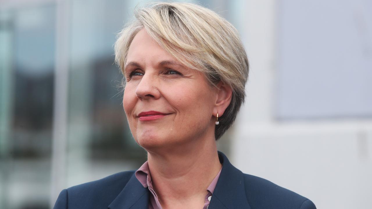 Environment Minister Tanya Plibersek says she’s working with “all parties”. Picture: Nikki Davis-Jones