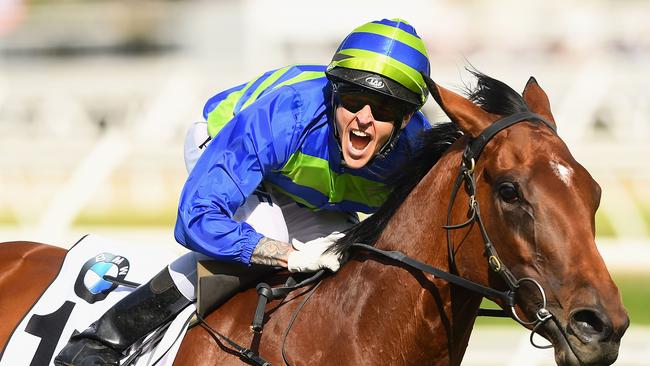 Nicholas Hall riding Jameka celebrates winning the Caulfield Cup.