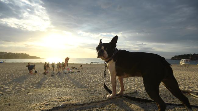 Cases of leptospirosis infection have been reported in NSW and the NT. Picture: NCA NewsWire/Joel Carrett