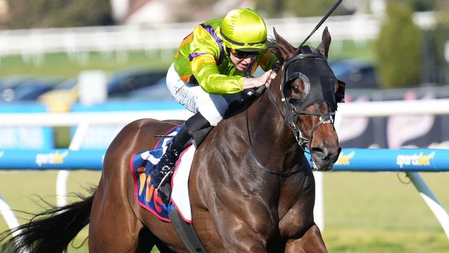 Band Of Brothers ridden by Damian Lane wins the ive > Vain Stakes at Caulfield Racecourse on August 17, 2024 in Caulfield, Australia. (Photo by Scott Barbour/Racing Photos via Getty Images)