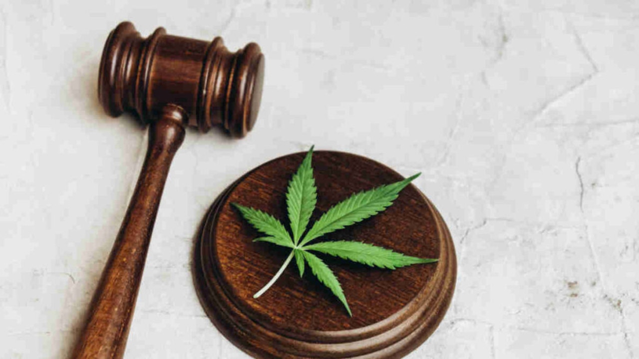 Growing demand for cannabis, says Epsilon