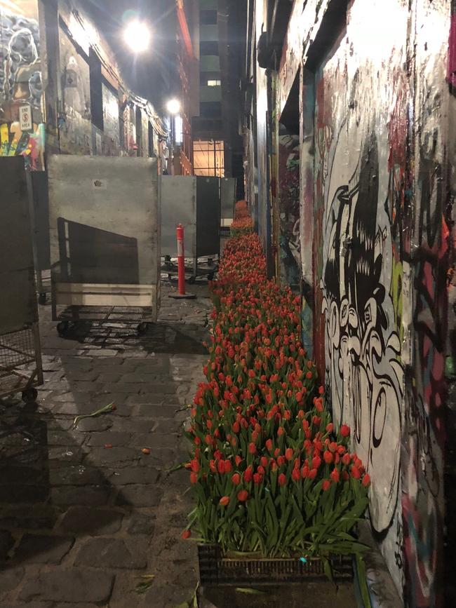 The tulips were dropped off from 4am in Hosier Lane. Picture: Supplied