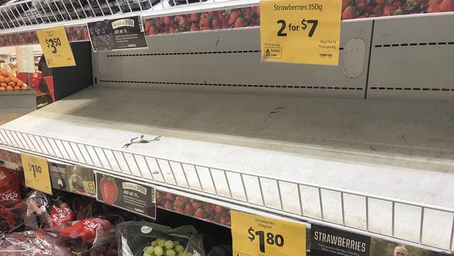 Shelves empty of strawberries at a Coles supermarket in Brisbane on Friday. Picture: AAP / Dan Peled