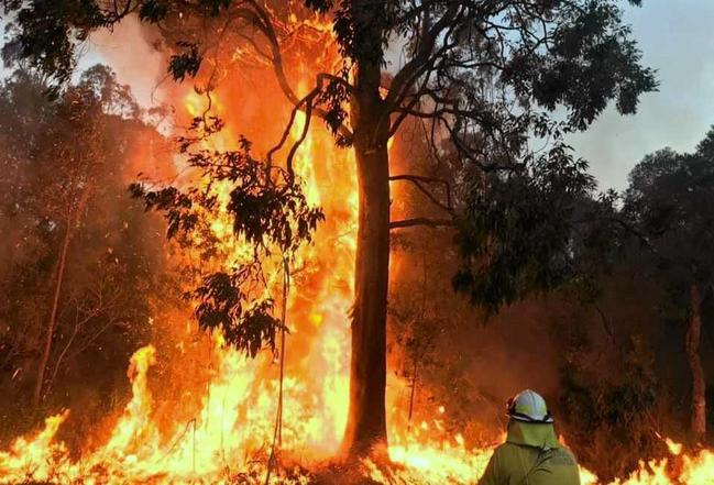 Firefighters battling a blaze on the Summerland Way at Clearfield, near Rappville, south of Casino. Picture: Casino Rural Fire Brigade