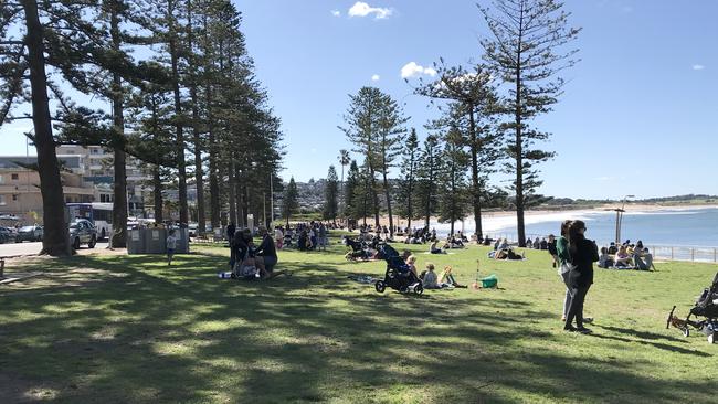 Fusion Pride Northern Beaches’ is organising a Pride Picnic on the reserve behind Dee Why Beach during WorldPride 2023. Picture: Manly Daily