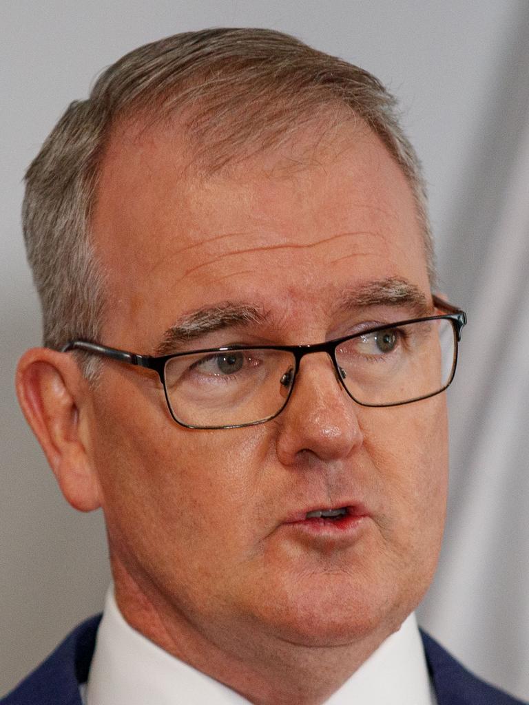 NSW Attorney General Michael Daley. Picture: NCA NewsWire / Nikki Short