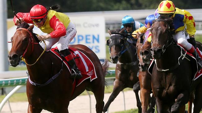 Exceedingly Kool with jockey Bonnie Thomson just beats Desert Cowboy with jockey Stephen Wilson. PICTURE: STEWART McLEAN.