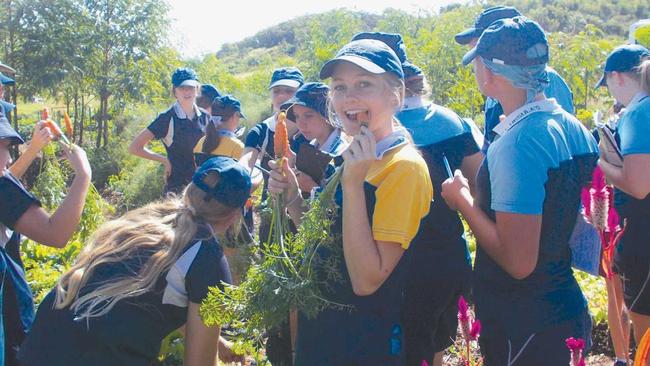 TASTY TUCKER: Piper Rose, centre, enjoyed a freshly picked carrot during St Ursulas excursion to High Valley Dawn permaculture. Picture: contributed