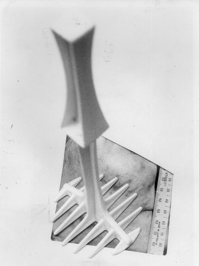 The potato masher police believe was used in the murder of Maria James, who was killed in her Thornbury bookshop in June 1980. 