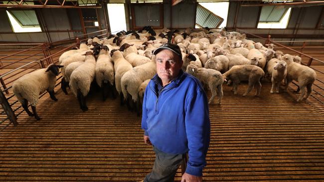 Tintinara farmer David Head, who says given the tough year felt by farmers across the state, he is encouraging people to reach out. Picture: Tait Schmaal.