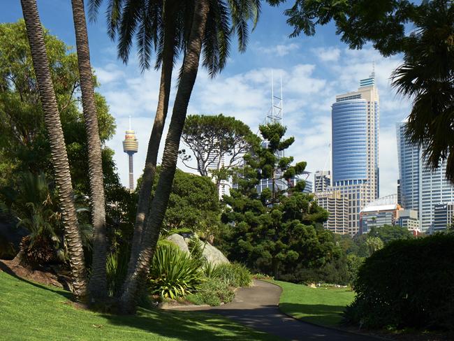 The Sydney Royal Botanic Gardens.