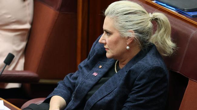 Senator for New South Wales Hollie Hughes. Picture: NCA NewsWire/Gary Ramage