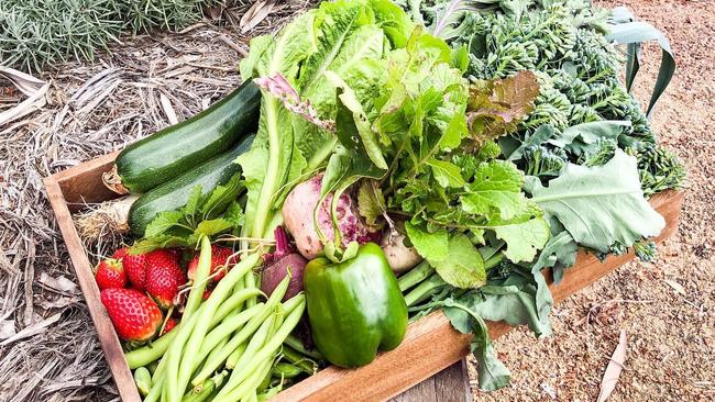 Fresh produce, grown and harvested at Woollahra Homestead in Kybong. PHOTO: Supplied