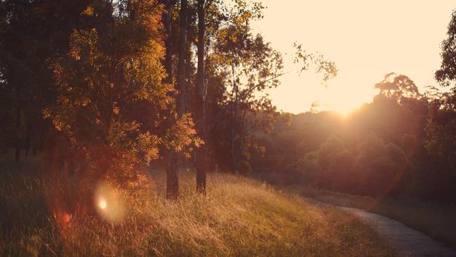 Fairfield City Council #CaptureFairfield competition: Discovery category: Alex Benetel – Professional Photographer