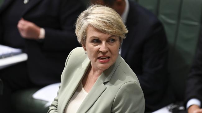 Minister for Environment and Water Tanya Plibersek during Question Time at Parliament House in Canberra. Picture: NCA NewsWire / Martin Ollman