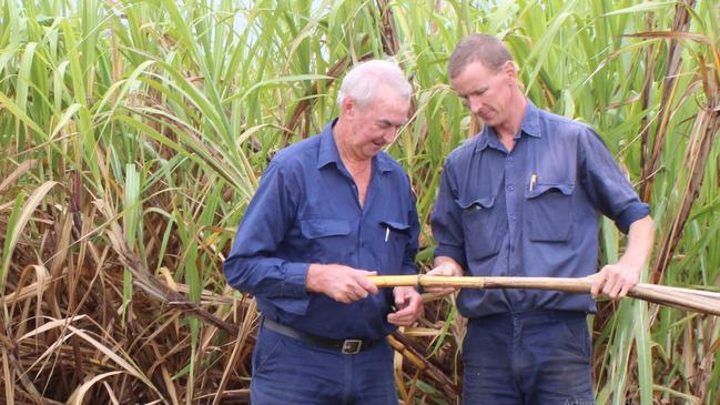 Tom and Marty Walsh are fourth and fifth generation cane farmers in the Richmond Valley area.