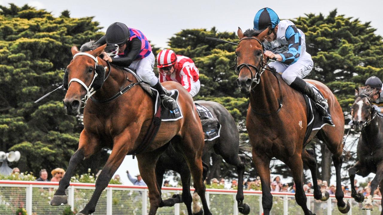 All-Star Mile contender Dom To Shoot was a strong winner over the Mornington Guineas in 2021 in a previous trip to Victoria. Picture: Racing Photos via Getty Images.