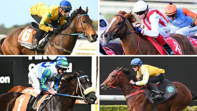 The Everest hopes (clockwise from top left) Estriella, Giga Kick, Lady Of Camelot and I Wish I Win will push their credentials for this year's race when they step out on Saturday.